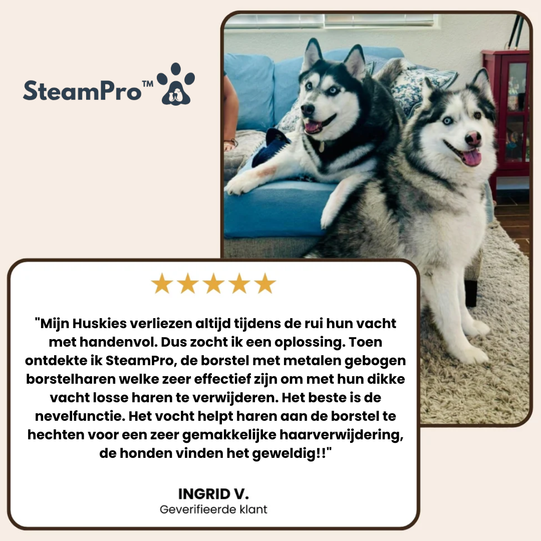 SteamPro™ - Professionele Vachtverzorgings Borstel voor Huisdieren